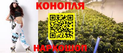apvp Беслан