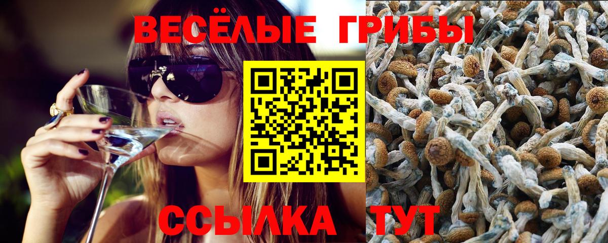 Воронеж  купить закладку  Вход с VPN  Псилоцибиновые грибы мицелий 