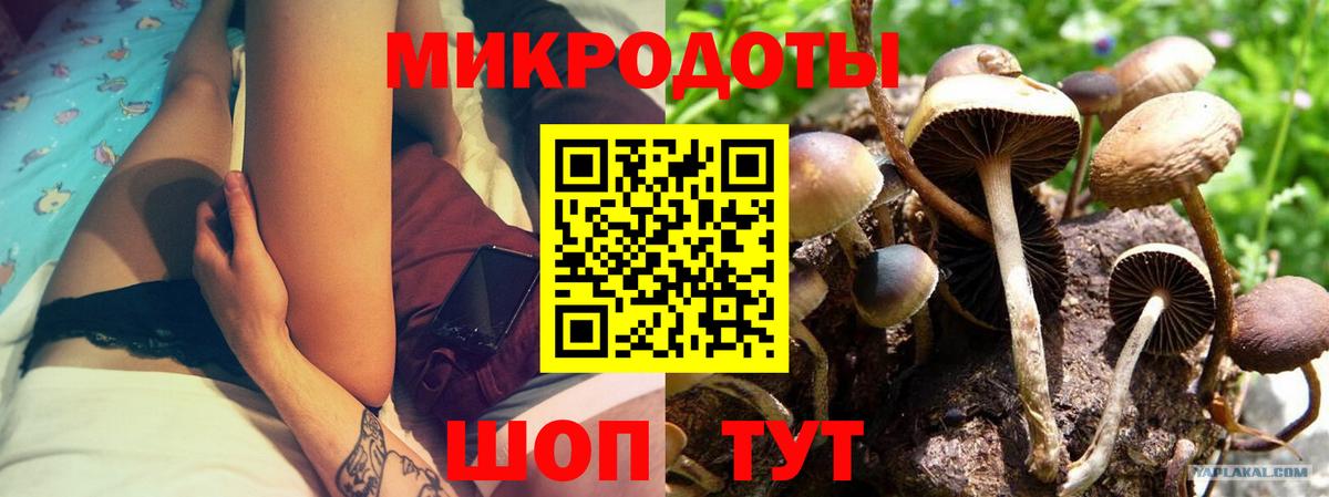 Псилоцибиновые грибы Magic Shrooms Воронеж